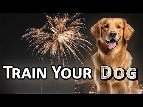 Best Fireworks Sound Effect | Realistic Sound [3-D] | HD