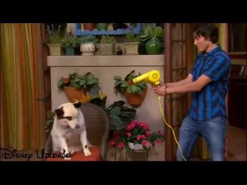 Dog With A Blog | "Avery Makes Over Max" Sneak Peek
