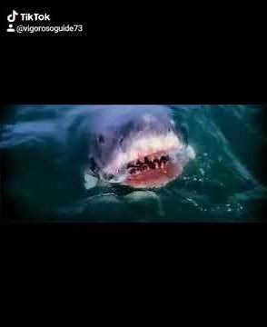 Jaws theme song