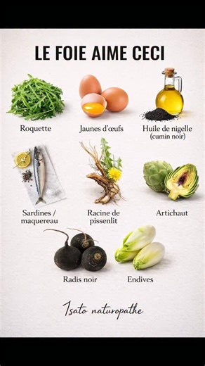 ✨ Ton corps te parle. À toi de bien le nourrir. Le foie, l’intestin, le cœur et le cerveau travaillent en permanence, en silence… Quand ils sont soutenus, tout s’équilibre : 👉 énergie 👉 digestion 👉 clarté mentale 👉 équilibre hormonal 👉 inflammation apaisée Ces carrousels te montrent ce que chaque organe aime vraiment, à travers des aliments simples, naturels et accessibles 🥑🐟🌿 💡 En naturopathie, on ne cherche pas la perfection, on cherche la cohérence, la régularité et le respect du cor