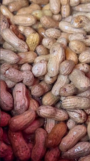 How to Make Southern Boiled Peanuts 🥜🍶