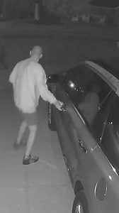 12K views · 56 reactions | Columbia Missouri Police Department on Reels | Facebook