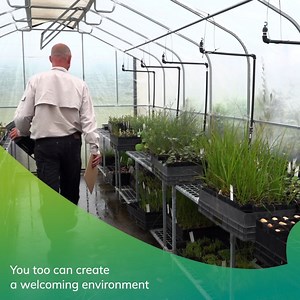 15K views · 257 reactions | Going, going, gone! This offer was so popular that all plants have already been allocated to new homes. Thanks for your interest Attract birds, bees, butterflies and other native species into your garden, with free native plants grown by our Bushcare volunteers delivered straight to your door.  曆 Find out more and register here: www.northernbeaches.nsw.gov.au/environment/backyard-habitat | Northern Beaches Council | Facebook