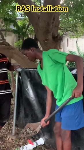 Recirculating Aquaculture System (RAS) #viralshorts #shorts