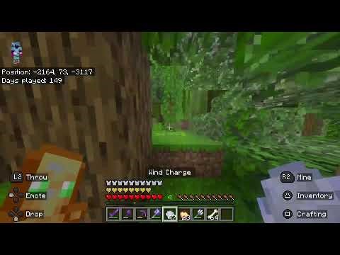 Haveing fun in Minecraft