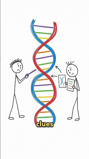 Rosalind Franklin and the Truth Behind Photo 51