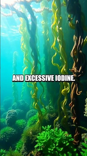 The Hidden Truth About Seaweed Snacks