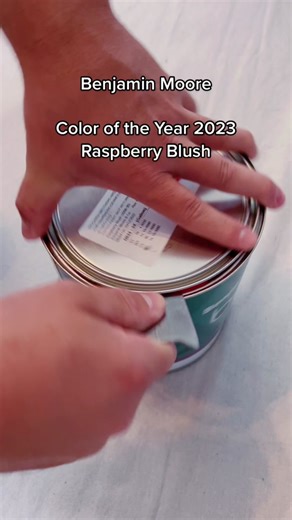 Raspberry Blush: Benjamin Moore's Bold 2023 Color of the Year