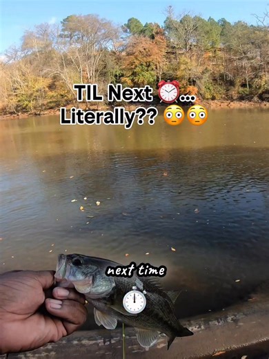 Jason Nathaniel Gaskin on Instagram: "Who would’ve ever thought you could actually play fetch with a fish?? 😳😳 #catchforbean #foryoupageシ #fypシ #unreal #reelsviralシ"