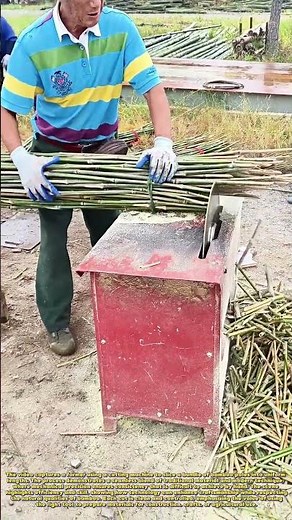 Bamboo Workflow: How Power Tools Perfectly Size Natural Materials