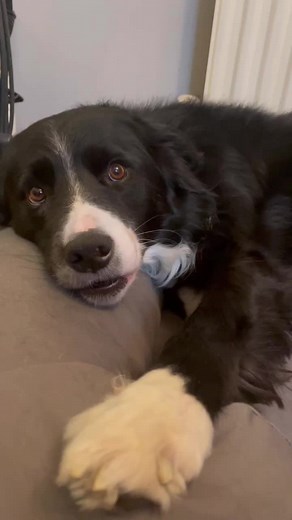 Let’s have a think about what we post and say to each other. Words hurt #PSA #love #words #casp47