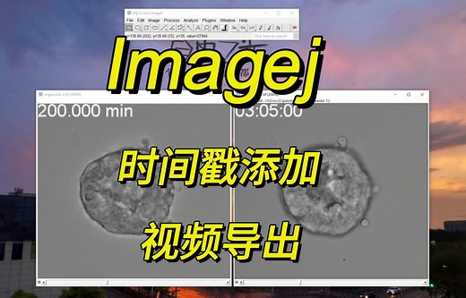 Imagej时间戳添加、视频导出-瑞瑞大大呀-瑞瑞大大呀-哔哩哔哩视频