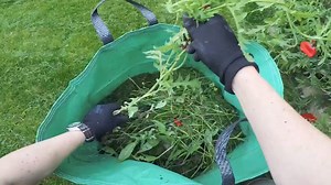 2.3K views · 6 comments | Have you signed up for your green/garden waste collection yet? You need to sign up for the FREE scheme. You can do this quickly here https://orlo.uk/5wTPo . Green/garden collection days are now weekly. | Rhondda Cynon Taf Council | Facebook