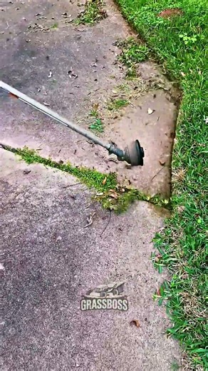 Sharp Walkway Lawn Borders and Clean Grass Edges for Neat Finish 🚶 | #lawncare #trimming