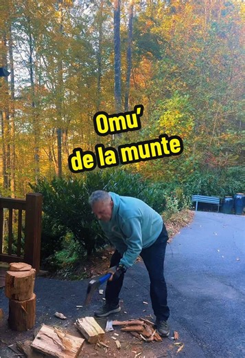 La tăiat de lemne #american #romanian #lumberjack #wnc