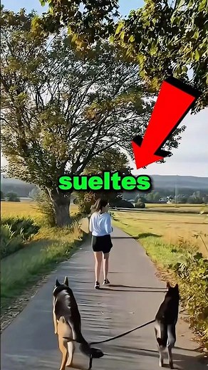 No sueltes la correa de tu perro 😱😳 #shorts