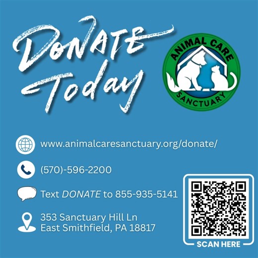 2.4K views · 61 reactions | Remember Toaster Strudel? Well, he's...