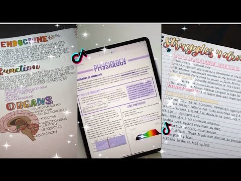 Aesthetic Notes TikTok compilation