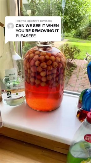 Extracting Maggots from Gin: A Step-by-Step Guide