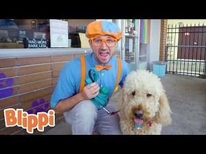 Blippi Loves Song! | Kids Learning Videos | Nursery Rhymes | ABCs And 123s