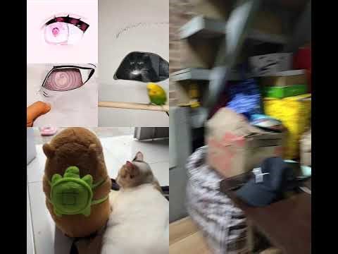 Eye loop with bird and cat