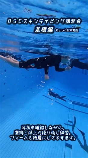 水深5.0mでスキンダイビングの基礎練習！深さがスキルの答えを教えてくれる！#スキンダイビング #水深5m #基礎練習#プール講習 #素潜り #OSC