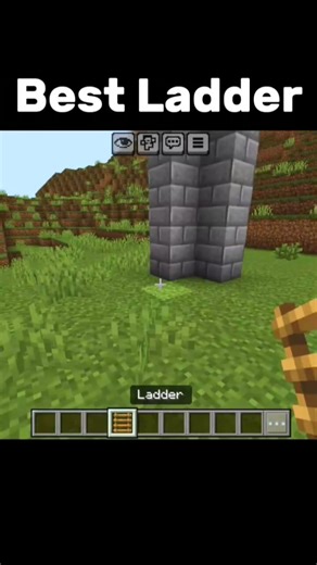 Best Ladder In Minecraft