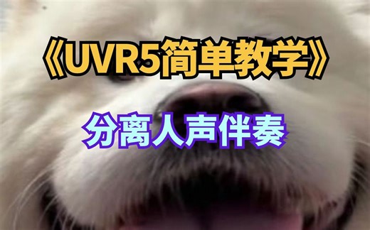 UVR5简单使用教程
