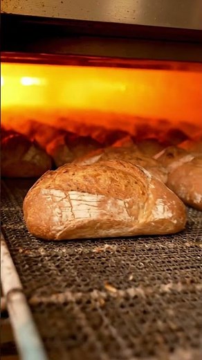 How Bread Is Made