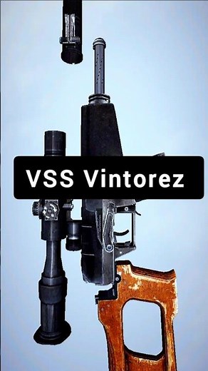 VSS Vintorez: Silent Russian Sniper