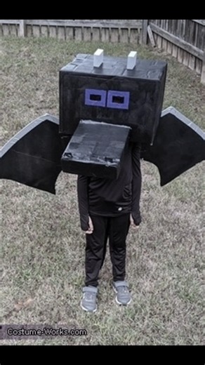 Kill The Ender Dragon Without Any Weapon In Minecraft.
