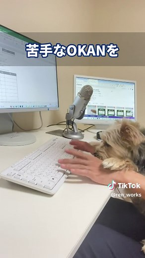 Excelデータの一瞬リセット方法をご紹介！