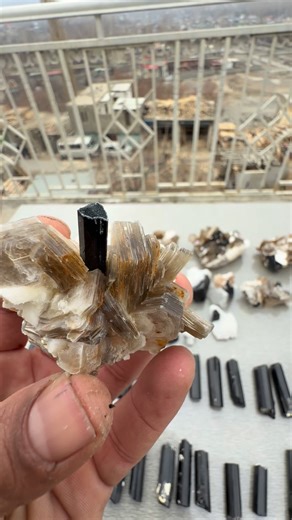 Beautiful batch of black tourmaline combination with muscovite. #tourmaline#minerals#stones#quartz | GB Minerals