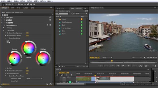 Pro CC.高级调色大师进阶篇