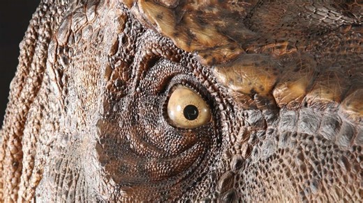 Scientists Have Created The Most Accurate Reconstruction Of The Tyrannosaurus Rex Ever