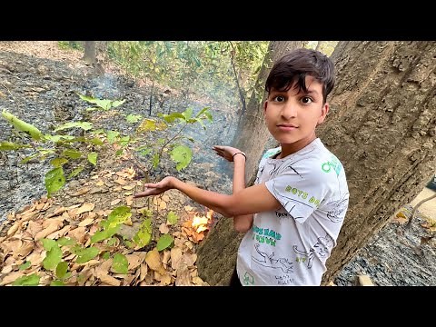 Jungle Mein Aag Lag Gyi 😲