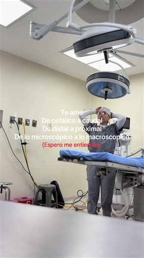 Enfermería: Amor, Salud y Contenido Integral