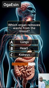 1.6K reactions · 130 shares | Human Anatomy, answer these questions to test Your IQ. Please subscribe to my YouTube channel for more @ Bassey Esin #comedy #everyone #education #funny #viralvideo #trend #reelsviral #trendingreels #reelsviralシ #followers | Esin Bassey | Facebook