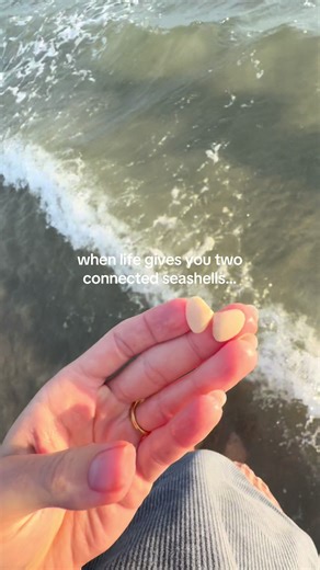 Crafting Earrings from Connected Seashells