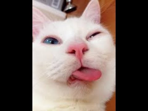 Playing some more FusionFall