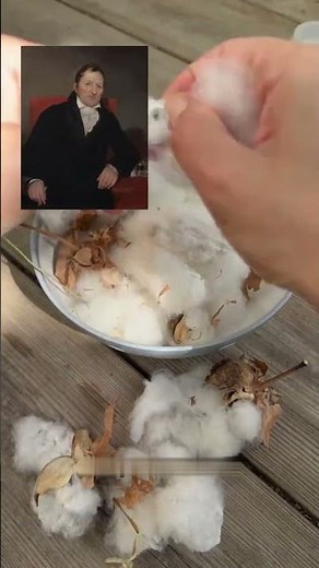 कपास के कपड़े पहले इतने महंगे क्यों थे? Cotton Revolution by Eli Whitney | Cotton Gin Machine Histor
