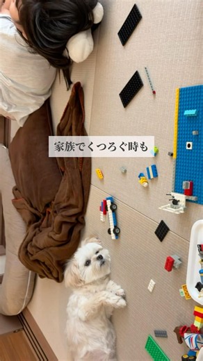 これ大正解！和室の仕切り 必要？#注文住宅 #和室#家づくり #間取り #造作家具