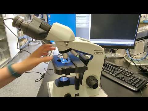 How to Operate the Olympus CX23 Microscope – A&P Student Guide