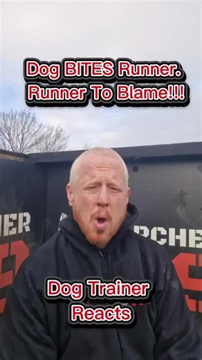 Archer K9 on Instagram: "Let me tell you about a situation that happens far more than people realise. A woman is walking her dog. It’s dark. It’s quiet. And out of nowhere, a man runs up behind her. So close his hand is literally inches from the dog’s face. No warning. No space. Just straight into her personal bubble. The dog reacts. The man gets bitten. Now here’s the part people don’t like hearing. Legally: the dog gets blamed. Morally: that runner made a seriously stupid decision. Running up