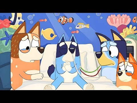 How Bluey's Older Brother Died - Characters Passing Away In Bluey