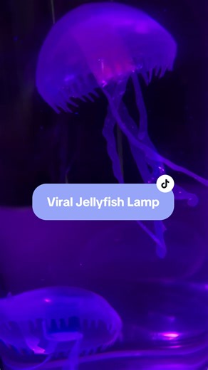 Ah, Jellyfish Fields. Here we find SpongeBob once again stalking the wild jellyfish. SpongeBob? Allô? SpongeBob? Hmmm... he's supposed to be here somewhere... [narrator looks around and sees a square-shaped coral] A-ha! [a jellyfish floats by. SpongeBob puts his glasses on].