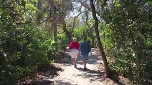 County owned land at Jetty Park
