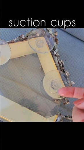 How To Attach Suction Cups To Glass