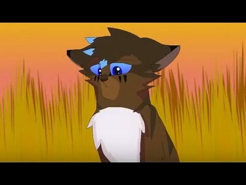 Hawkfrost and Ivypaw MAP: Love Is an Open Door (Intro)
