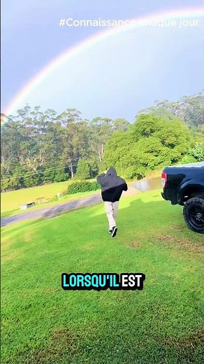 What Happens When You Touch the End of a Rainbow? The Truth Will Shock You